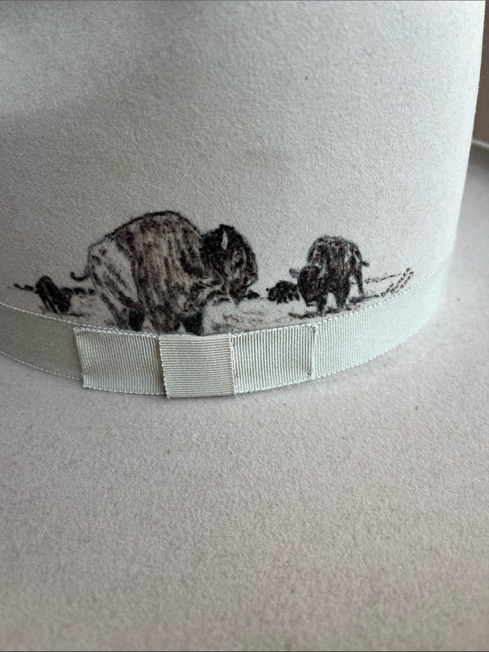 Cowboy Hat - Picture 15 of 15